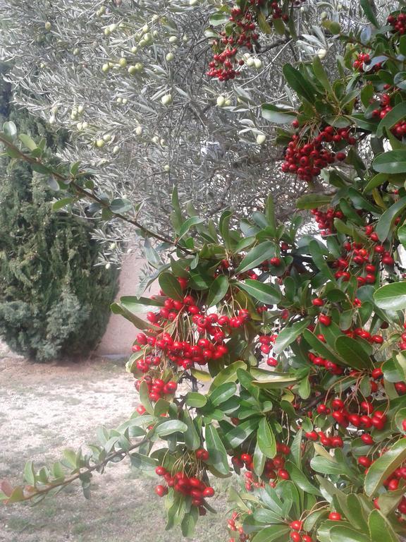 Holiday home La Petite Maison De Marie Louise Lauris